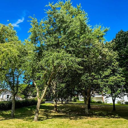 T3 Moderne Avec Balcon Terrasse Et Parking Gratuit Apartment Niort Bagian luar foto
