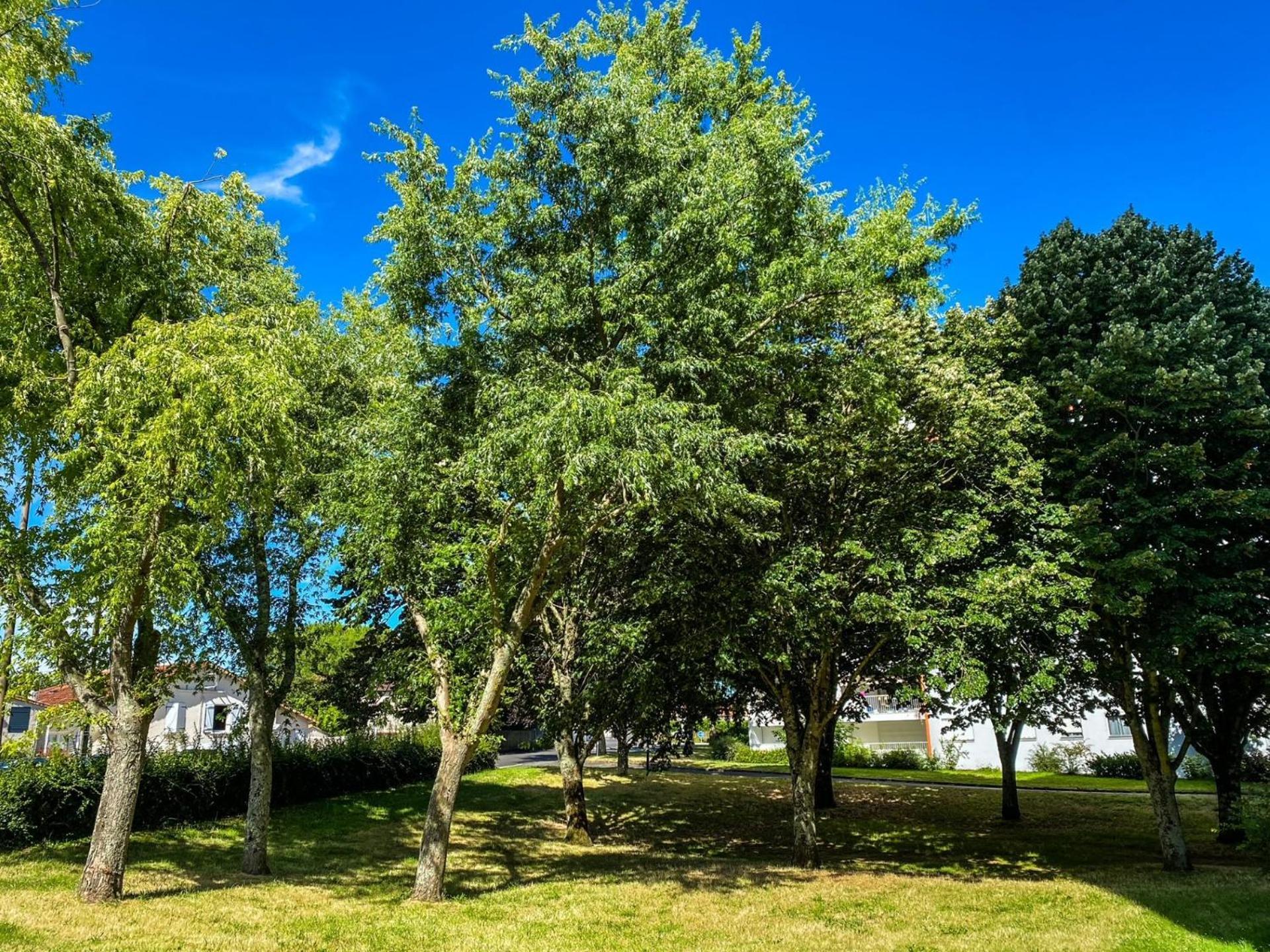T3 Moderne Avec Balcon Terrasse Et Parking Gratuit Apartment Niort Bagian luar foto